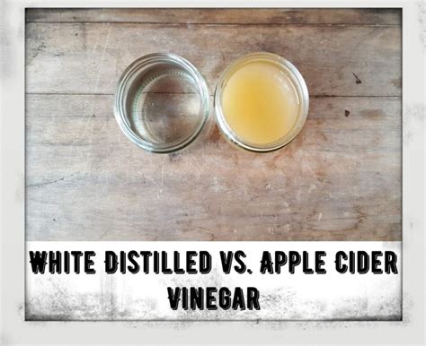 cider vinegar vs distilled white.